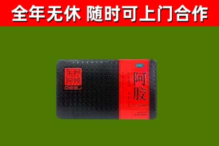 五指市回收阿胶